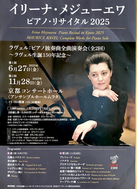 イリーナさんパンフ